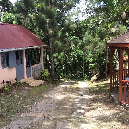 Mahogany Ridge Arouca Ngoại thất bức ảnh
