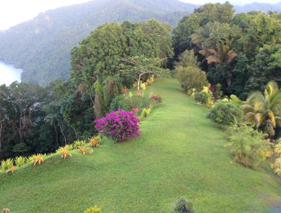 Mahogany Ridge Arouca Ngoại thất bức ảnh